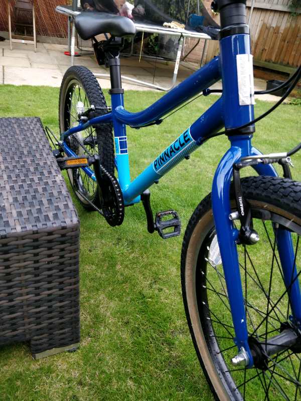 pinnacle ash bike